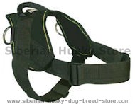 Siberian Husky Nylon multi-purpose dog harness for tracking Siberian Husky Nylon multi-purpose dog harness for tracking