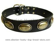 dog collar for walking 