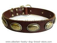 leather dog collar brown color