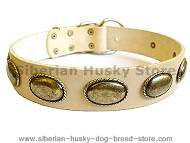 Retro Rulz - Gorgeous Vintage Dog Leather Collar - C103 Retro Rulz - Gorgeous Vintage Dog Leather Collar - C103