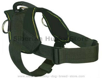nylon dog harness for Akita or Siberian Husky nylon dog harness with handle