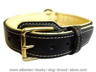 Royal Nappa Padded Handmade Leather Husky Collar Royal Nappa Padded Handmade Leather Husky Collar