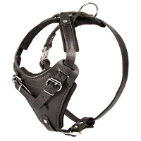 Super Quality Leather Dog Harness for Siberian Husky