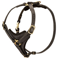 Super Luxury Royal Padded Leather Husky Harness
