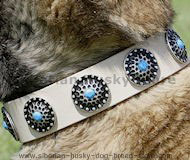 Gorgeous Leather Collar Silver Plated Circles with Blue Stones Gorgeous Leather Collar Silver Plated Circles with Blue Stones