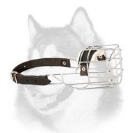 'The Silencer' Perfect Ventilation Cage Style Metal Muzzle for Siberian Husky  'The Silencer' Perfect Ventilation Cage Style Metal Muzzle for Siberian Husky