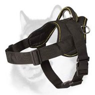 Siberian Husky Nylon Harness for Training/Walking  Siberian Husky Nylon Harness for Training/Walking