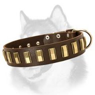 Gorgeous Wide Plated Leather Collar for Siberian Husky  Gorgeous Wide Plated Leather Collar for Siberian Husky