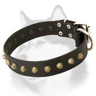 Wide Leather Dog Collar for Siberian Husky Studded with Pyramids  Wide Leather Dog Collar for Siberian Husky Studded with Pyramids