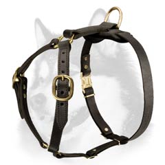 Luxury Handcrafted Super Harness Made for Siberian Husky  Luxury Handcrafted Super Harness Made for Siberian Husky