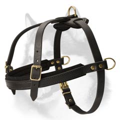 Tracking/Pulling Leather Harness for Siberian Husky  Tracking/Pulling Leather Harness for Siberian Husky