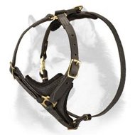 Walking Leather Harness for Siberian Husky  Walking Leather Harness for Siberian Husky