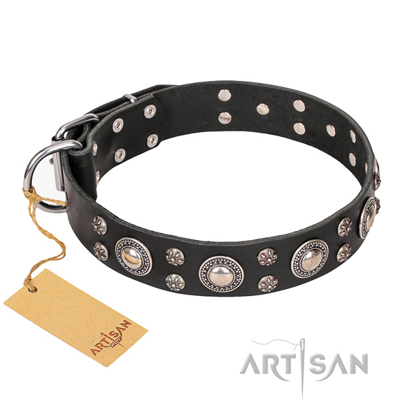 Durable leather dog collar with rust-proof hardware