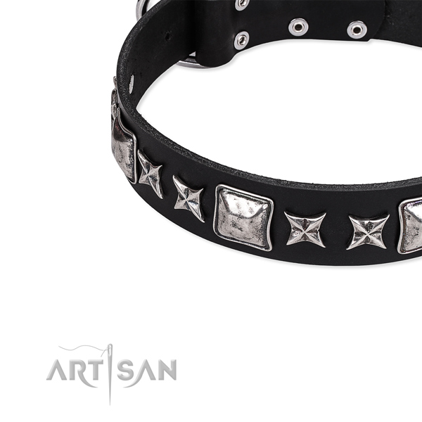 Full grain leather dog collar with embellishments for daily walking