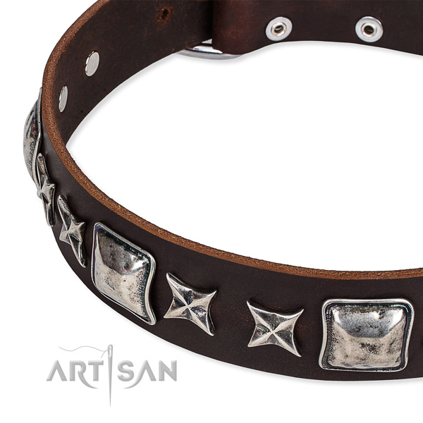 Natural genuine leather dog collar with embellishments for daily use