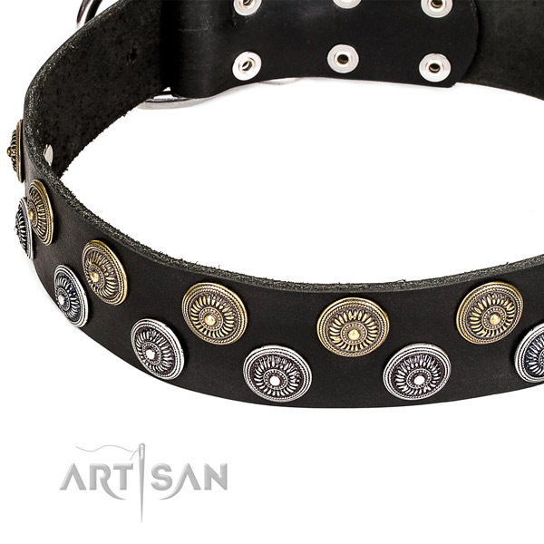 Genuine leather dog collar with awesome embellishments