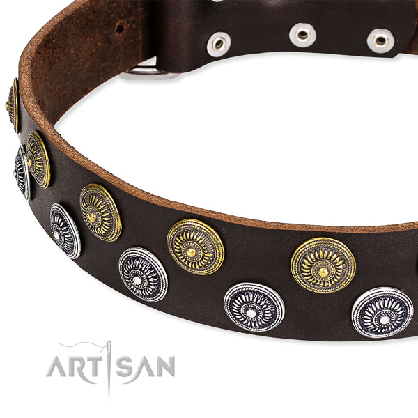 Genuine leather dog collar with unique adornments