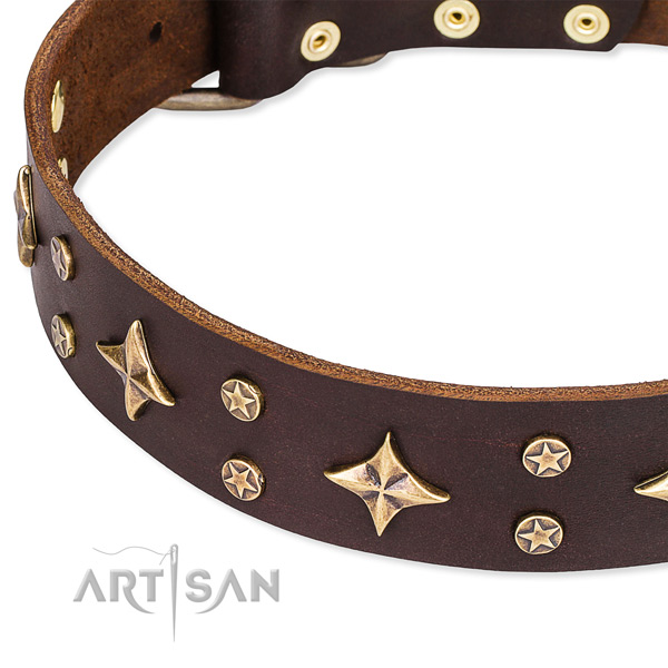 Full grain genuine leather dog collar with trendy adornments
