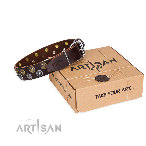 Leather dog collar with studs for everyday use