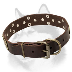 Fashion leather dog collar for Siberian Husky 