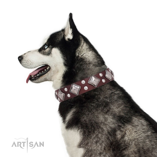 Everyday walking decorated dog collar made of top notch leather