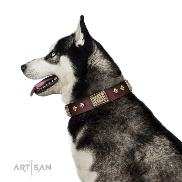 Top rate daily use dog collar of genuine leather