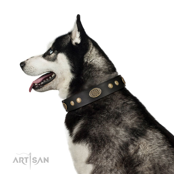 Corrosion resistant hardware on natural leather dog collar for fancy walking