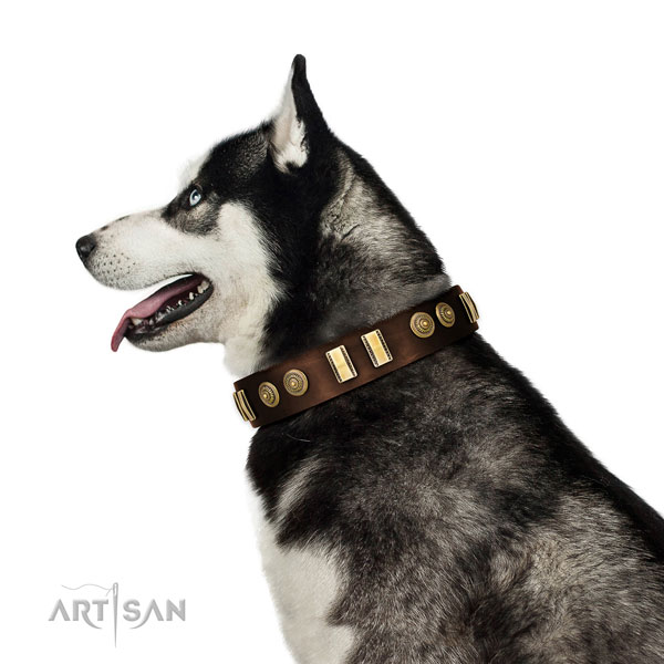 Rust-proof buckle on leather dog collar for walking