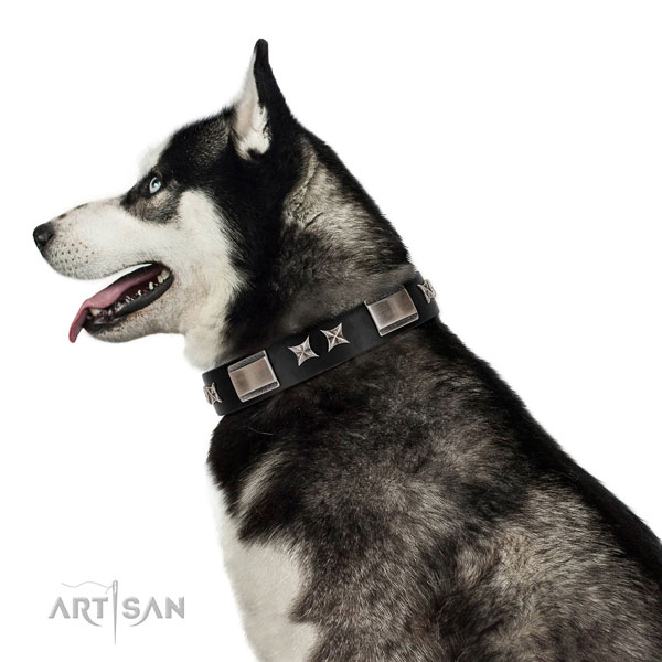 Everyday use reliable full grain natural leather dog collar with decorations