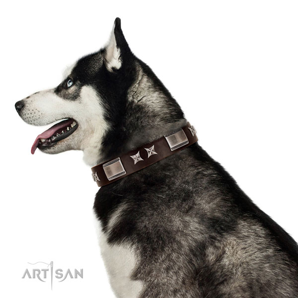 Exquisite collar of leather for your attractive dog