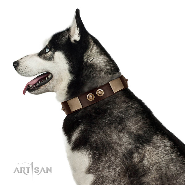 Corrosion resistant hardware on genuine leather dog collar for fancy walking