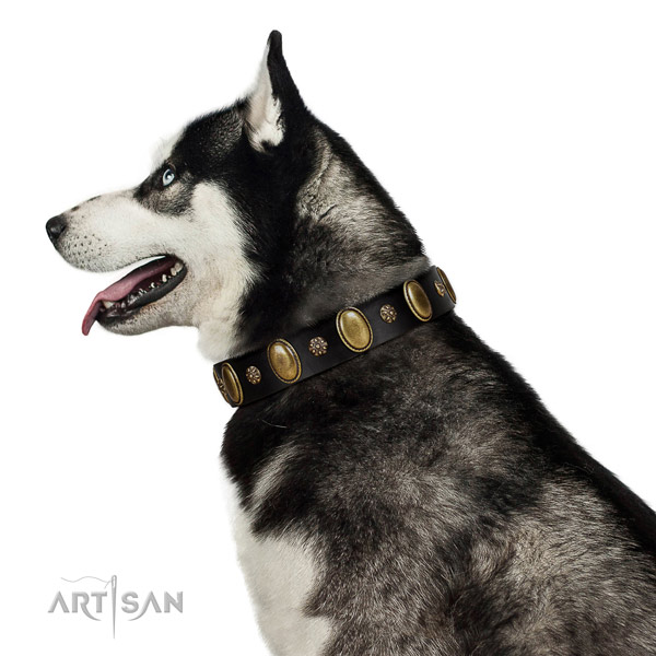 Handy use soft to touch full grain genuine leather dog collar with embellishments