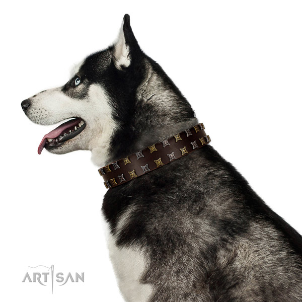 Quality leather dog collar with decorations for your doggie
