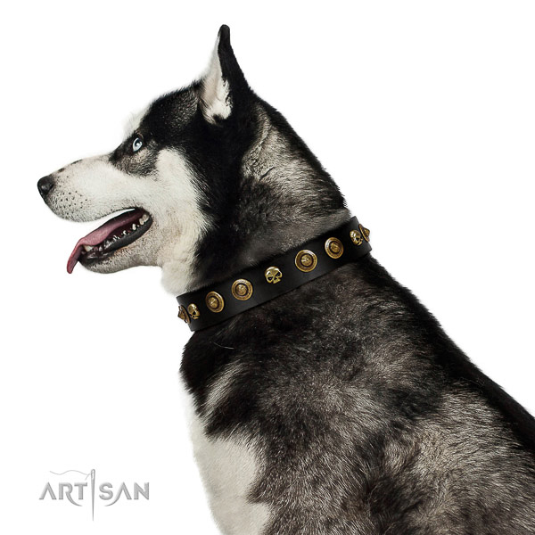 Reliable leather dog collar with studs for your four-legged friend