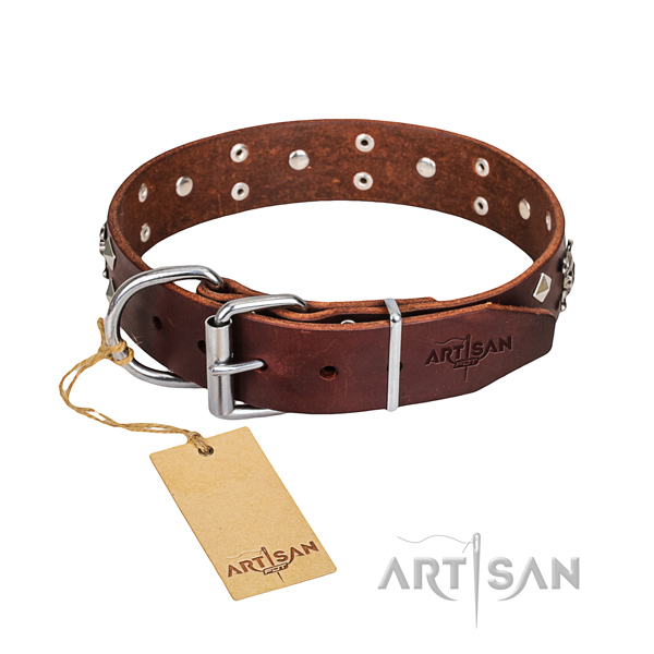 Casual style leather dog collar with luxurious embellishments
