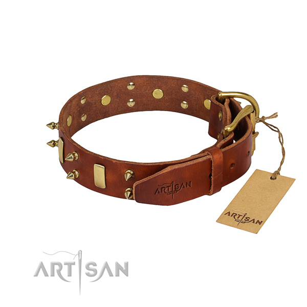 Genuine leather dog collar with smoothed leather surface