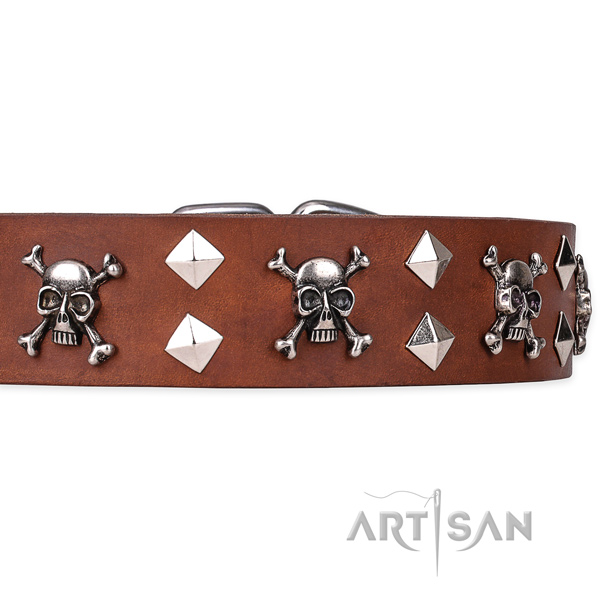 Indestructible leather dog collar with non-corrosive details