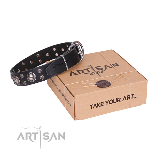 Daily leather dog collar with amazing studs