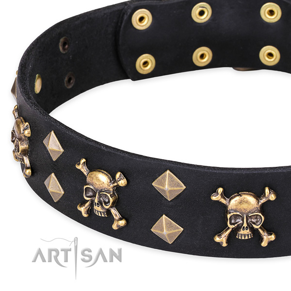 Casual leather dog collar with luxurious adornments