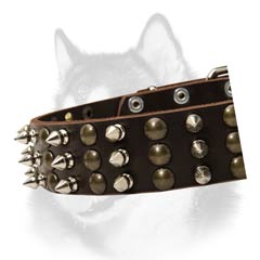 Siberian Husky leather dog collar with rust proof adornment