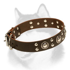 Adorned leather Siberian Husky collar 