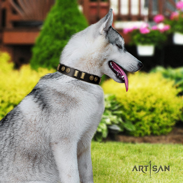 Siberian Husky unusual decorated leather dog collar for comfortable wearing