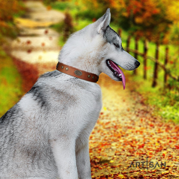 Siberian Husky unique embellished natural leather dog collar for everyday walking
