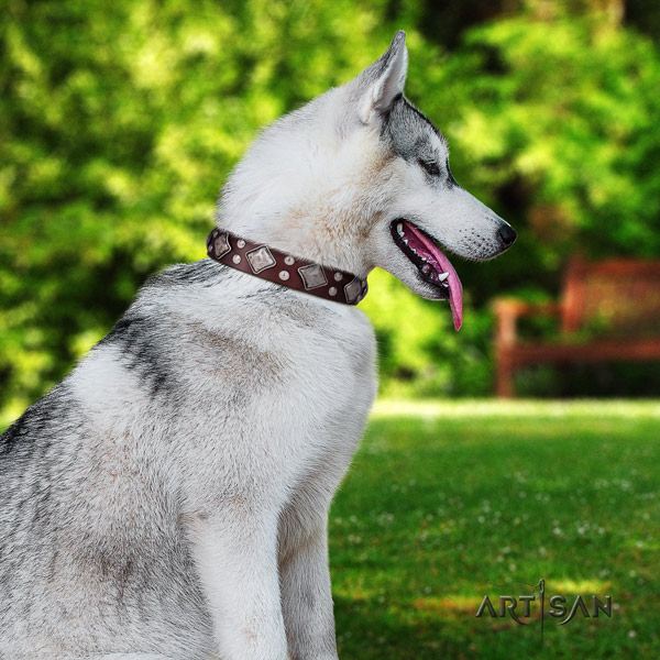 Siberian Husky stylish studded natural genuine leather dog collar