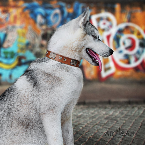 Siberian Husky trendy adorned leather dog collar for everyday walking