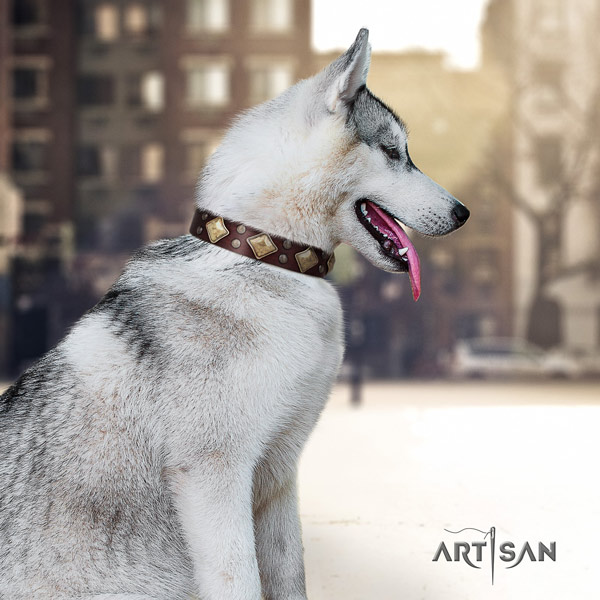 Siberian Husky stunning adorned leather dog collar