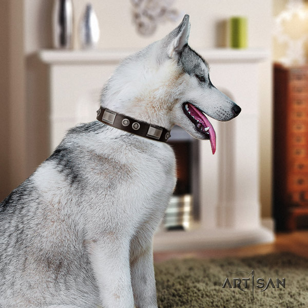 Siberian Husky fashionable embellished full grain genuine leather dog collar for walking