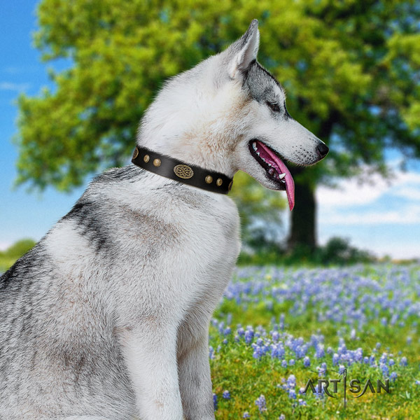 Siberian Husky stunning decorated full grain genuine leather dog collar for comfy wearing