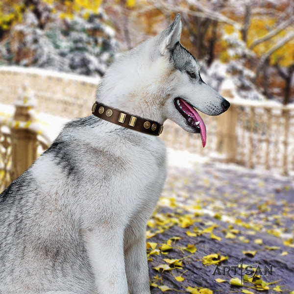 Siberian Husky extraordinary adorned genuine leather dog collar for walking