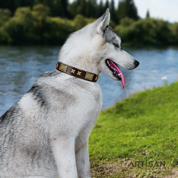 Siberian Husky unique adorned full grain leather dog collar